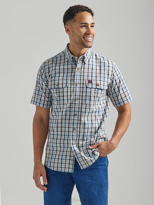 regnskyll (112325152)